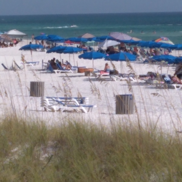 Meet your Posher, Mary - Picture 8 of 9